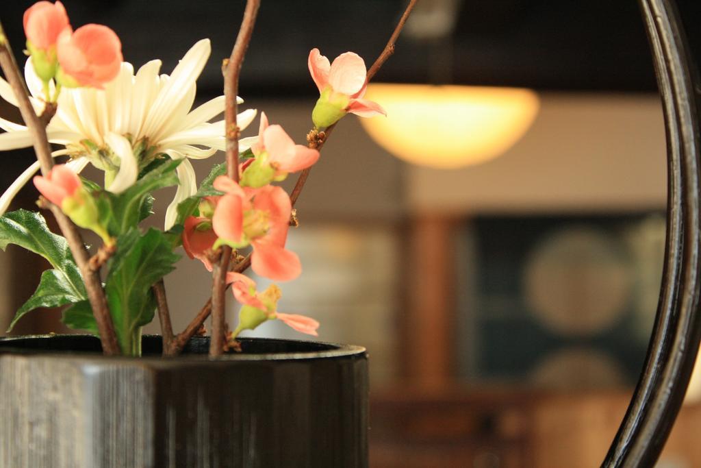 Yamadaya Ryokan Hitachiota Екстер'єр фото